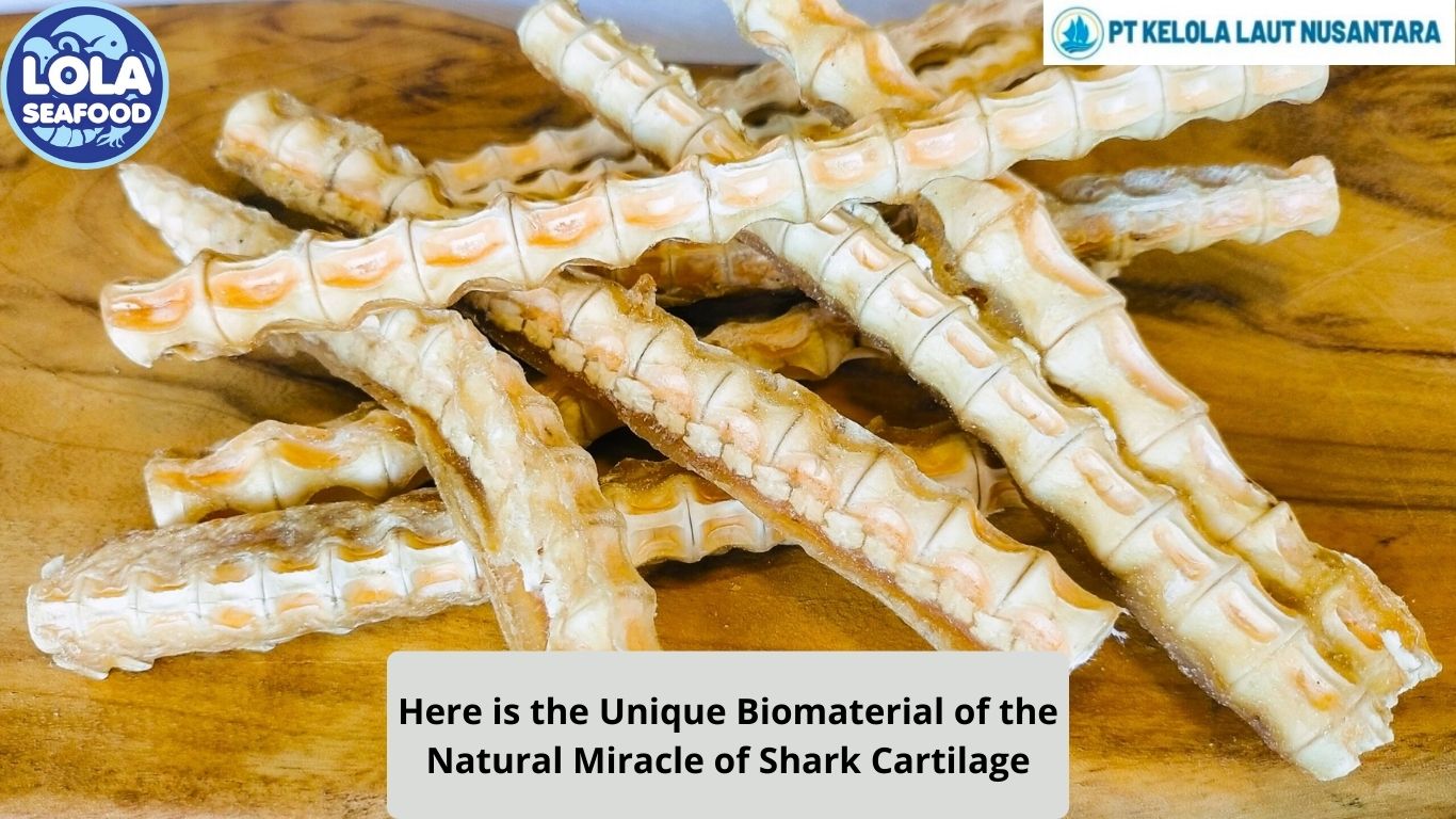 Here is the Unique Biomaterial of the Natural Miracle of Shark Cartilage